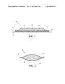 BIOGENIC AMINE ABSORBER diagram and image