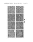 FABRICATION OF COMPLEX THREE-DIMENSIONAL STRUCTURES BASED ON DIRECTED     ASSEMBLY OF SELF-ASSEMBLING MATERIALS ON ACTIVATED TWO-DIMENSIONAL     TEMPLATES diagram and image