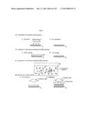 SURFACE TREATMENT METHOD FOR MOLDED ARTICLE, AND MOLDED ARTICLE PRODUCED     FROM MATERIAL CONTAINING CYCLIC OLEFIN RESIN diagram and image