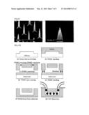 MICROBIAL FUEL CELL COMPRISING A MICROPROBE ARRAY diagram and image