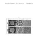 LITHIUM SECONDARY BATTERY diagram and image