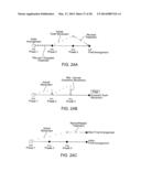 TOOTH MOVEMENT MEASUREMENT BY AUTOMATIC IMPRESSION MATCHING diagram and image