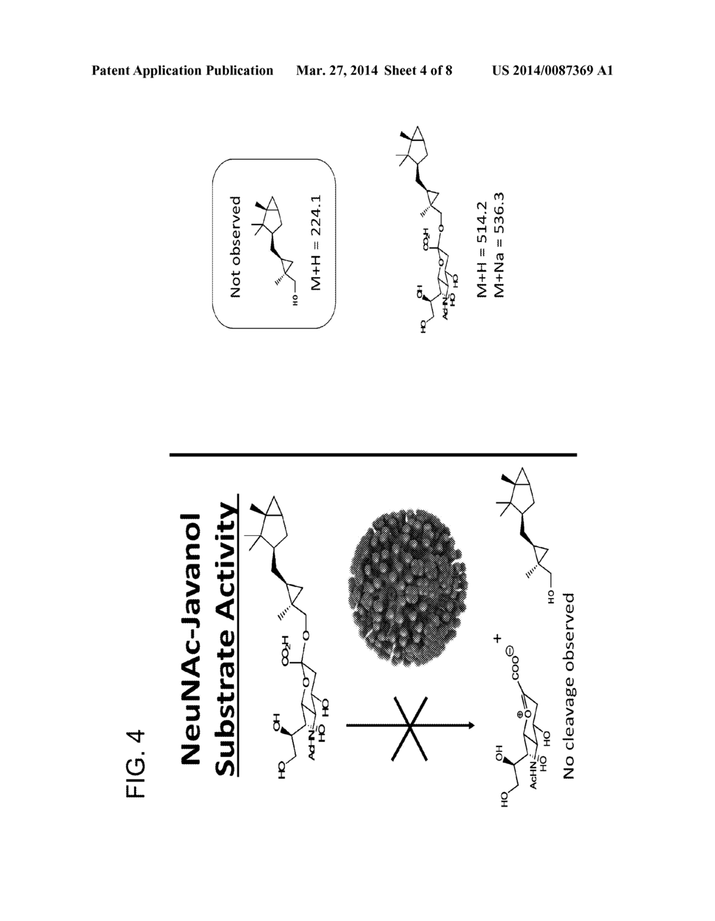 INFECTION DETECTION METHODS AND SYSTEMS AND RELATED COMPOUNDS AND     COMPOSITIONS - diagram, schematic, and image 05