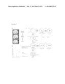 METHODS OF DETECTING ANEUPLOIDY IN HUMAN EMBRYOS diagram and image