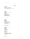 Mutation Detection Probe, Mutation Detection Method, Method of Evaluating     Drug Efficacy, and Mutation Detection Kit diagram and image