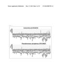 METHOD FOR DISTINGUISHING BETWEEN SPECIES WITHIN THE GENUS STAPHILOCOCCUS diagram and image