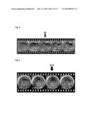 EMBRYO QUALITY ASSESSMENT BASED ON BLASTOMERE CLEAVAGE AND MORPHOLOGY diagram and image