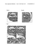 EMBRYO QUALITY ASSESSMENT BASED ON BLASTOMERE CLEAVAGE AND MORPHOLOGY diagram and image