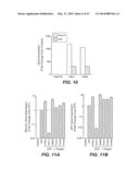 METHODS AND COMPOSITIONS FOR PRODUCING INDUCED HEPATOCYTES diagram and image