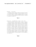 NOVEL 7Beta-HYDROXYSTEROID DEHYDROGENASE MUTANTS AND PROCESS FOR THE     PREPARATION OF URSODEOXYCHOLIC ACID diagram and image