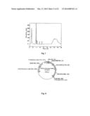 NOVEL 7Beta-HYDROXYSTEROID DEHYDROGENASE MUTANTS AND PROCESS FOR THE     PREPARATION OF URSODEOXYCHOLIC ACID diagram and image