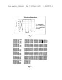 NOVEL 7Beta-HYDROXYSTEROID DEHYDROGENASE MUTANTS AND PROCESS FOR THE     PREPARATION OF URSODEOXYCHOLIC ACID diagram and image