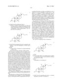 NOVEL 7Beta-HYDROXYSTEROID DEHYDROGENASE MUTANTS AND PROCESS FOR THE     PREPARATION OF URSODEOXYCHOLIC ACID diagram and image