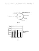 NOVEL 7Beta-HYDROXYSTEROID DEHYDROGENASE MUTANTS AND PROCESS FOR THE     PREPARATION OF URSODEOXYCHOLIC ACID diagram and image