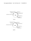 NOVEL 7Beta-HYDROXYSTEROID DEHYDROGENASE MUTANTS AND PROCESS FOR THE     PREPARATION OF URSODEOXYCHOLIC ACID diagram and image