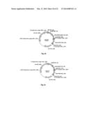 NOVEL 7Beta-HYDROXYSTEROID DEHYDROGENASE MUTANTS AND PROCESS FOR THE     PREPARATION OF URSODEOXYCHOLIC ACID diagram and image