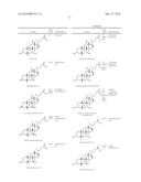 NOVEL 7Beta-HYDROXYSTEROID DEHYDROGENASE MUTANTS AND PROCESS FOR THE     PREPARATION OF URSODEOXYCHOLIC ACID diagram and image