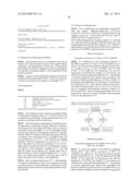 NOVEL 7Beta-HYDROXYSTEROID DEHYDROGENASE MUTANTS AND PROCESS FOR THE     PREPARATION OF URSODEOXYCHOLIC ACID diagram and image