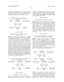 NOVEL 7Beta-HYDROXYSTEROID DEHYDROGENASE MUTANTS AND PROCESS FOR THE     PREPARATION OF URSODEOXYCHOLIC ACID diagram and image