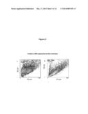 Expansion Medium for CD34-Negative Stem Cells diagram and image