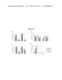 Expansion Medium for CD34-Negative Stem Cells diagram and image