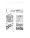 CARBON-NANOTUBE MODULATION OF MYOCYTE CELLS diagram and image