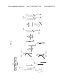 QUANTITATIVE NUCLEASE PROTECTION ASSAY (QNPA) AND SEQUENCING (QNPS)     IMPROVEMENTS diagram and image