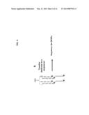 QUANTITATIVE NUCLEASE PROTECTION ASSAY (QNPA) AND SEQUENCING (QNPS)     IMPROVEMENTS diagram and image