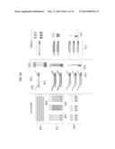 QUANTITATIVE NUCLEASE PROTECTION ASSAY (QNPA) AND SEQUENCING (QNPS)     IMPROVEMENTS diagram and image