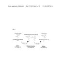 MODIFIED RNASE H AND DETECTION OF NUCLEIC ACID AMPLIFICATION diagram and image