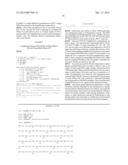 MODIFIED RNASE H AND DETECTION OF NUCLEIC ACID AMPLIFICATION diagram and image