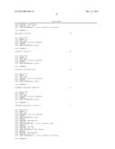 MODIFIED RNASE H AND DETECTION OF NUCLEIC ACID AMPLIFICATION diagram and image