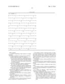 MODIFIED RNASE H AND DETECTION OF NUCLEIC ACID AMPLIFICATION diagram and image