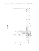 FREEZE-DRIED PREPARATION CONTAINING HIGH-PURITY PTH AND METHOD FOR     PRODUCING SAME diagram and image