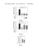 sGCalpha1 Inhibiting Compositions, and Methods of Treatment of Cancers     Therewith diagram and image