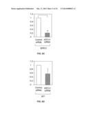 sGCalpha1 Inhibiting Compositions, and Methods of Treatment of Cancers     Therewith diagram and image