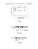 sGCalpha1 Inhibiting Compositions, and Methods of Treatment of Cancers     Therewith diagram and image