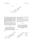 COMPOSITIONS AND METHODS FOR INCREASING TELOMERASE ACTIVITY diagram and image