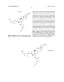 COMPOSITIONS AND METHODS FOR INCREASING TELOMERASE ACTIVITY diagram and image