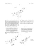 COMPOSITIONS AND METHODS FOR INCREASING TELOMERASE ACTIVITY diagram and image