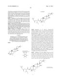 COMPOSITIONS AND METHODS FOR INCREASING TELOMERASE ACTIVITY diagram and image