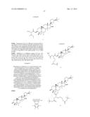 COMPOSITIONS AND METHODS FOR INCREASING TELOMERASE ACTIVITY diagram and image