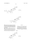 COMPOSITIONS AND METHODS FOR INCREASING TELOMERASE ACTIVITY diagram and image