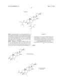 COMPOSITIONS AND METHODS FOR INCREASING TELOMERASE ACTIVITY diagram and image