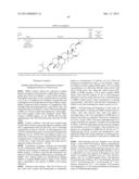 COMPOSITIONS AND METHODS FOR INCREASING TELOMERASE ACTIVITY diagram and image