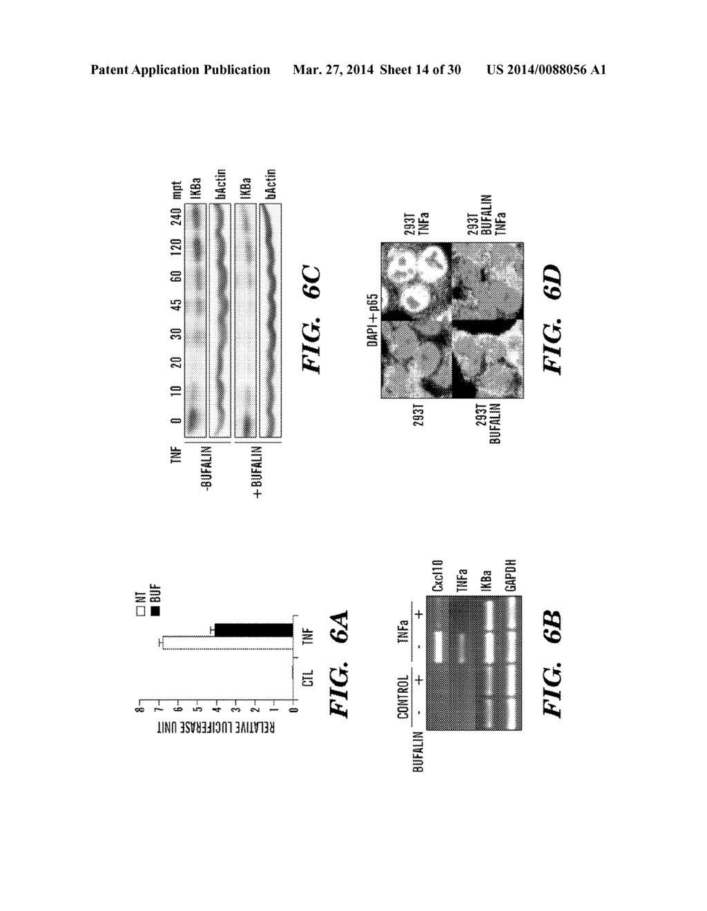 CARDIAC GLYCOSIDES ARE POTENT INHIBITORS OF INTERFERON-BETA GENE     EXPRESSION - diagram, schematic, and image 15