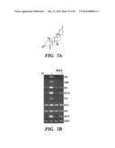 CARDIAC GLYCOSIDES ARE POTENT INHIBITORS OF INTERFERON-BETA GENE     EXPRESSION diagram and image