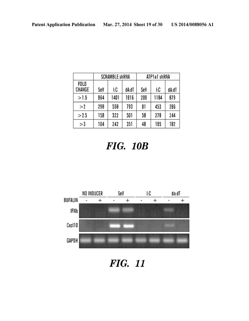 CARDIAC GLYCOSIDES ARE POTENT INHIBITORS OF INTERFERON-BETA GENE     EXPRESSION - diagram, schematic, and image 20