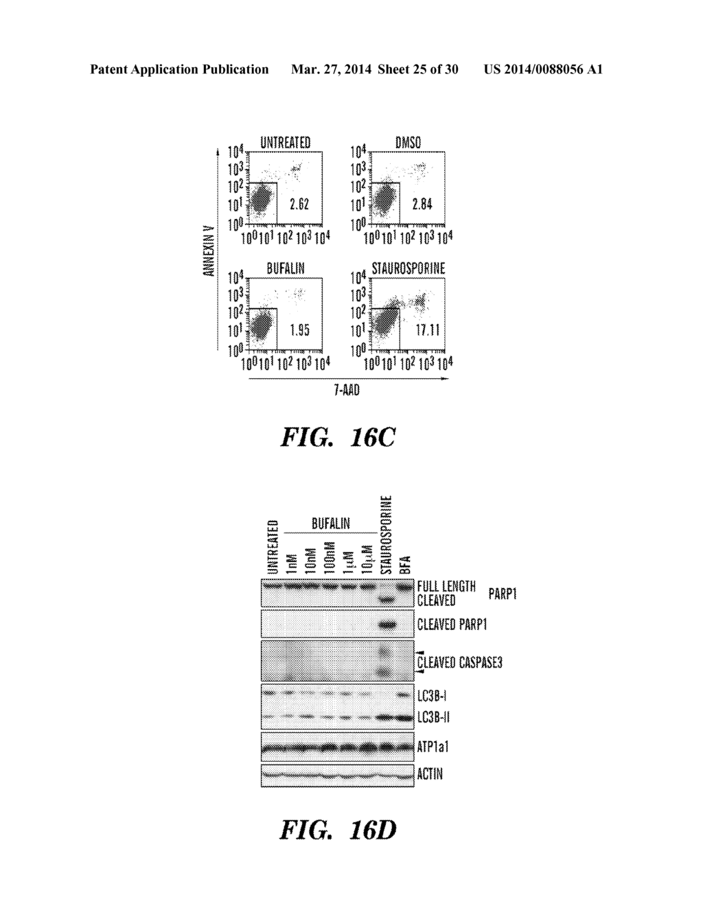 CARDIAC GLYCOSIDES ARE POTENT INHIBITORS OF INTERFERON-BETA GENE     EXPRESSION - diagram, schematic, and image 26