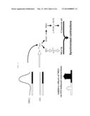 METHODS OF TREATING PRE-TERM LABOR diagram and image